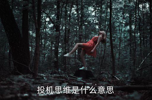 投機(jī)思維是什么意思