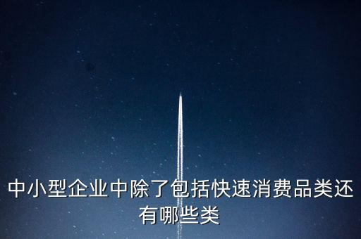 除了小微企業(yè)還有什么企業(yè)，中小型企業(yè)中除了包括快速消費(fèi)品類還有哪些類