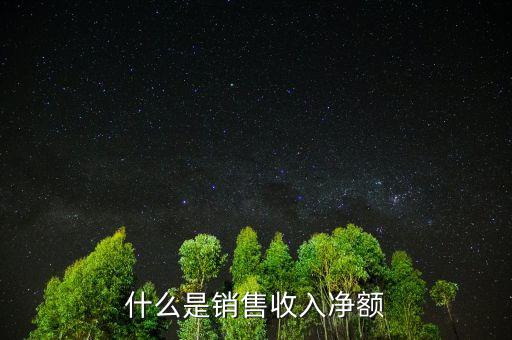 什么是銷(xiāo)售收入凈額