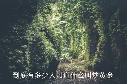 到底有多少人知道什么叫炒黃金