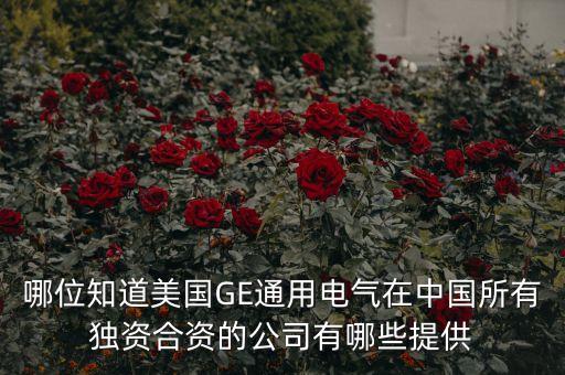 哪位知道美國GE通用電氣在中國所有獨(dú)資合資的公司有哪些提供
