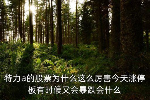 特力a的股票為什么這么厲害今天漲停板有時(shí)候又會(huì)暴跌會(huì)什么