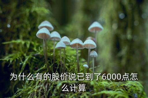 為什么06年到07年可以漲到6000點，是什么因素支撐股指從02年的不到1000點上升到07年的6000點  搜