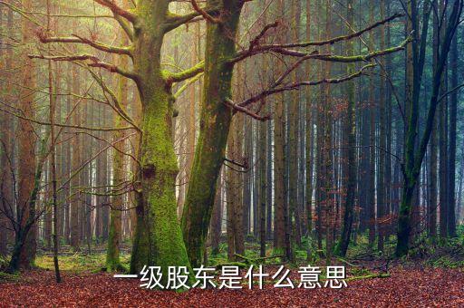 二級(jí)股東是什么意思，兩級(jí)股權(quán)結(jié)構(gòu)