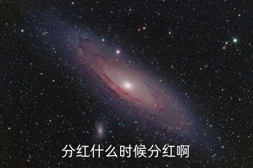 分紅什么時候分紅啊