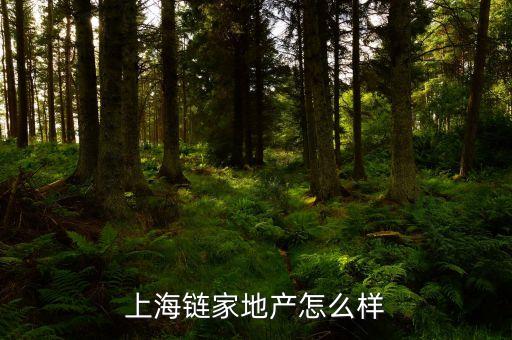 上海鏈家地產(chǎn)怎么樣