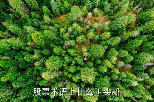 階段性頭部是什么，在分時圖中怎樣判斷階段性頭部和階段性底部