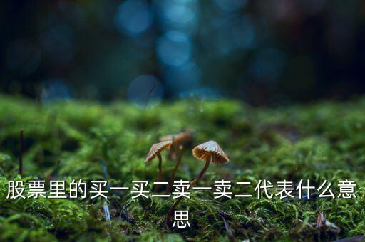 股票里的買一買二賣一賣二代表什么意思