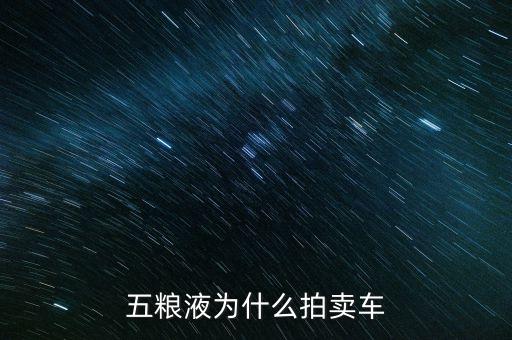 五糧液為什么拍賣車