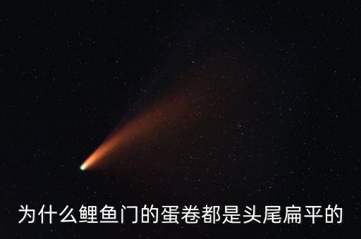 什么是蛋卷指數(shù)，為什么鯉魚門的蛋卷都是頭尾扁平的