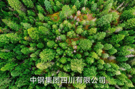 中鋼什么級(jí)別，中尉是什么等級(jí)