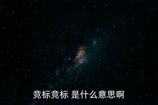 競(jìng)標(biāo)是什么意思，競(jìng)標(biāo)是什么意思