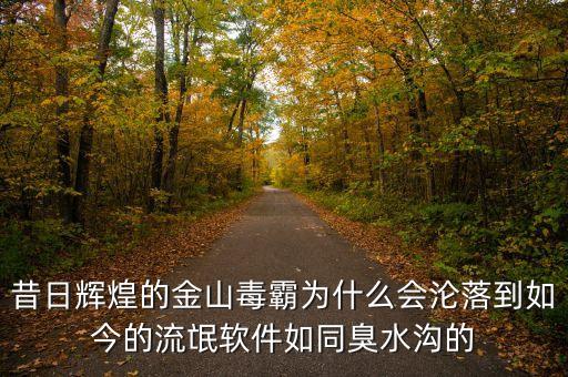 昔日輝煌的金山毒霸為什么會淪落到如今的流氓軟件如同臭水溝的