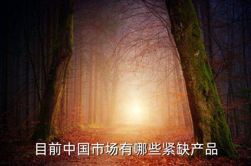 目前中國市場有哪些緊缺產(chǎn)品