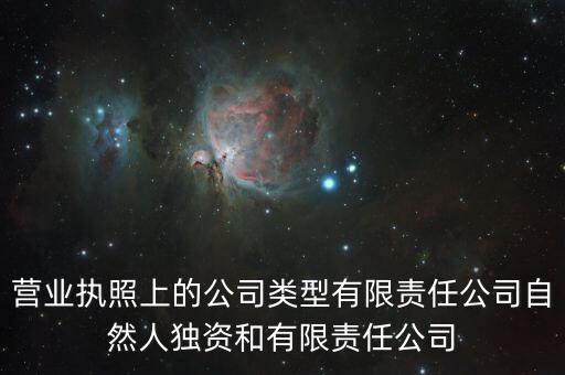 營(yíng)業(yè)執(zhí)照上的公司類型有限責(zé)任公司自然人獨(dú)資和有限責(zé)任公司