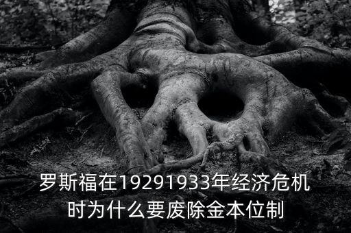 羅斯福在19291933年經(jīng)濟(jì)危機(jī)時為什么要廢除金本位制