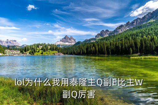 泰隆主什么副什么，泰隆主什么負(fù)什么