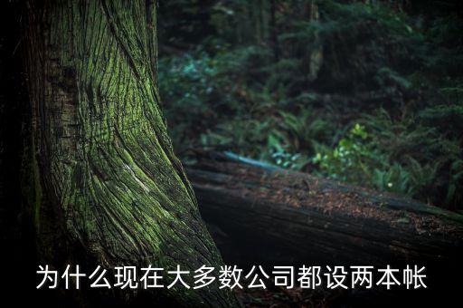 企業(yè)為什么要做兩本賬，我是某企業(yè)一名職工發(fā)現(xiàn)材料進(jìn)出做兩本帳他們目的是為什么