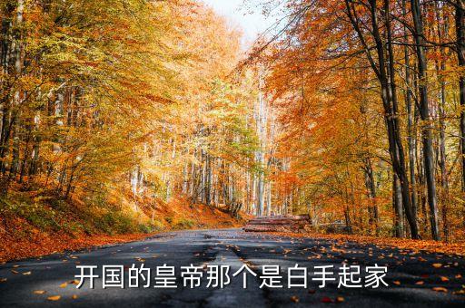 開國(guó)的皇帝那個(gè)是白手起家