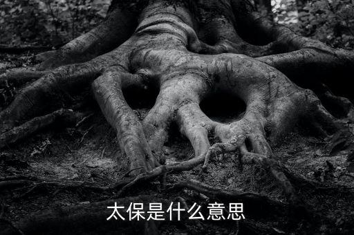 太保是什么意思