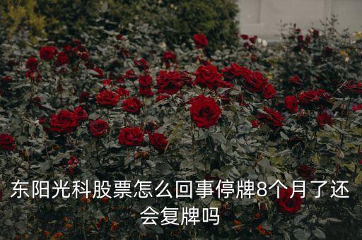 東陽光科股票怎么回事停牌8個月了還會復(fù)牌嗎