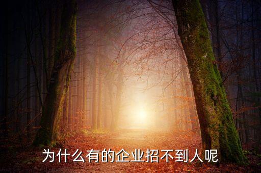 為什么公司招不到人呢，為什么有的企業(yè)招不到人呢