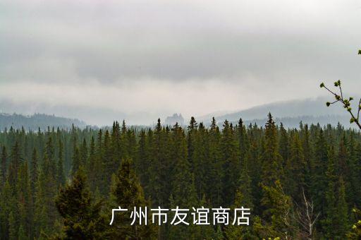 廣州市友誼商店
