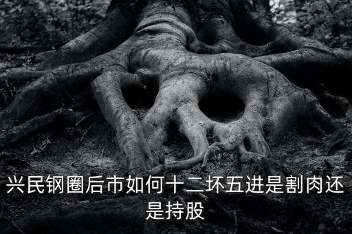 興民鋼圈股票什么股，興民鋼圈后市如何十二壞五進是割肉還是持股