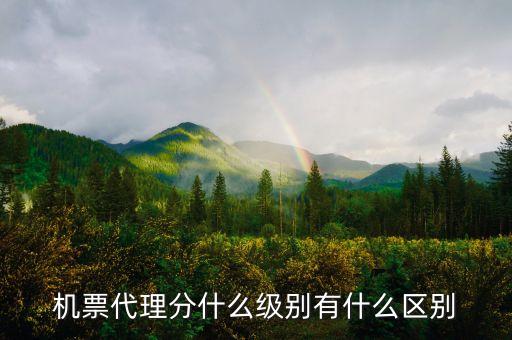 機(jī)票代理分什么級別有什么區(qū)別