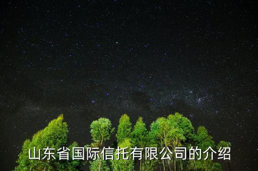 山東省國際信托有限公司的介紹