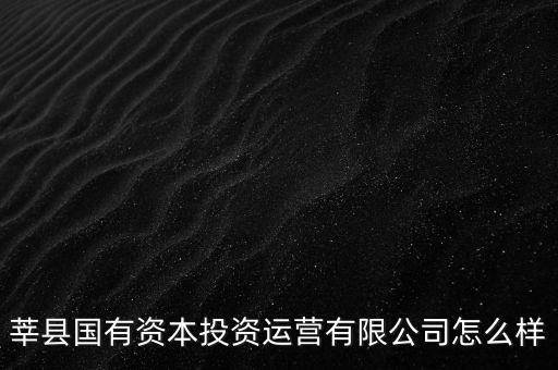 莘縣國有資本投資運(yùn)營(yíng)有限公司怎么樣