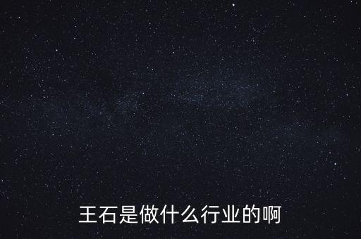 王石是做什么行業(yè)的啊