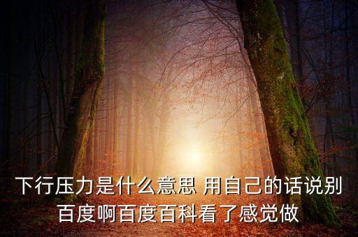 什么是下行壓力，應(yīng)對經(jīng)濟下行壓力還有哪些策略