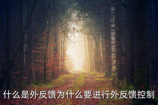 什么是機械外反饋，什么是外反饋為什么要進行外反饋控制