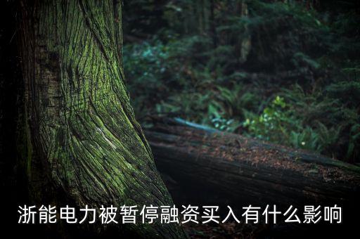 浙能電力被暫停融資買入有什么影響