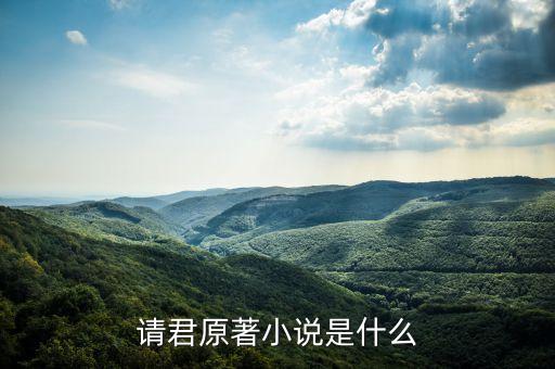 請(qǐng)君原著小說是什么