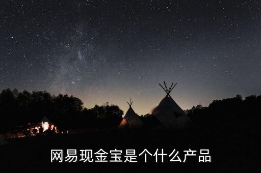 網(wǎng)易現(xiàn)金寶是個什么產(chǎn)品