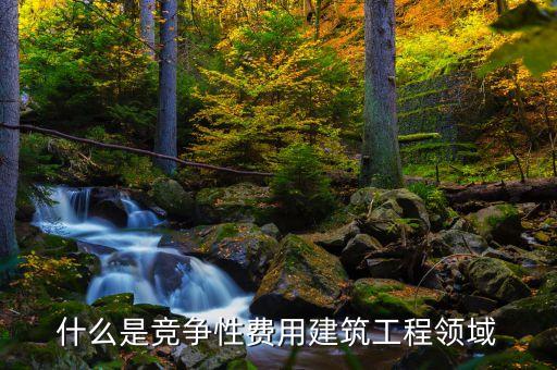 什么是競爭性費(fèi)用建筑工程領(lǐng)域