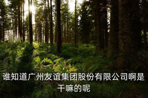 誰知道廣州友誼集團(tuán)股份有限公司啊是干嘛的呢