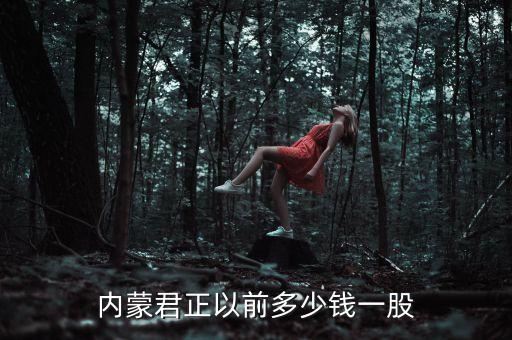 內(nèi)蒙君正以前多少錢一股