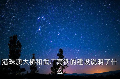 港珠澳大橋和武廣高鐵的建設(shè)說明了什么
