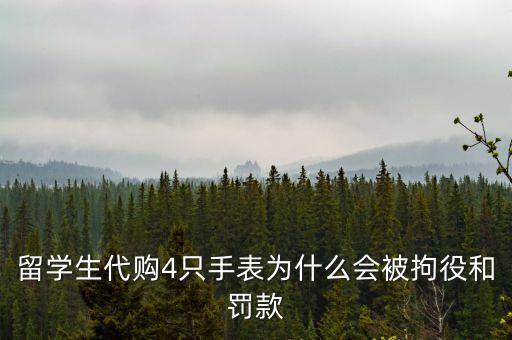 留學(xué)生代購4只手表為什么會被拘役和罰款