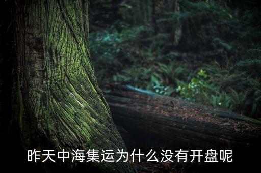 昨天中海集運(yùn)為什么沒(méi)有開(kāi)盤(pán)呢