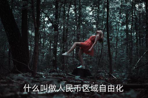 什么叫做人民幣區(qū)域自由化