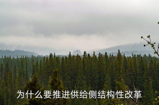 為什么要推進(jìn)供給側(cè)結(jié)構(gòu)性改革