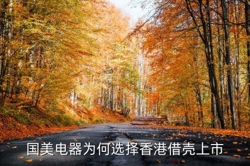 國美電器為何選擇香港借殼上市