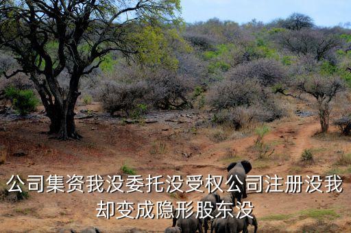 公司集資我沒委托沒受權公司注冊沒我卻變成隱形股東沒