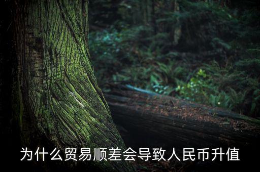 貿(mào)易順便為什么會(huì)造成人民幣升值，為什么持續(xù)高額貿(mào)易順差會(huì)導(dǎo)致人民幣升值呢