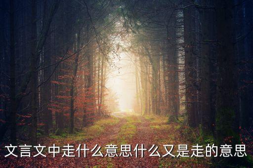 文言文中走什么意思什么又是走的意思