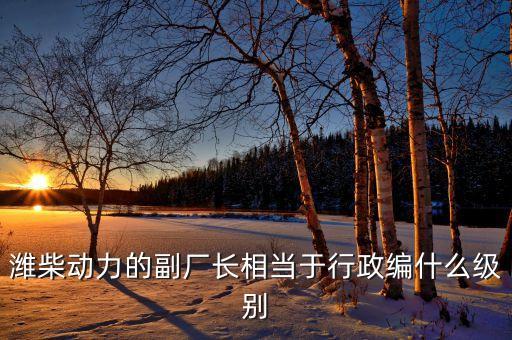 濰柴譚旭光什么級別，濰柴動(dòng)力股份有限公司董事長是誰